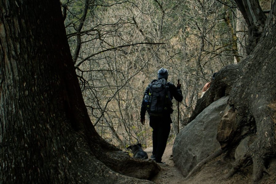 KHEERGANGA TREK
