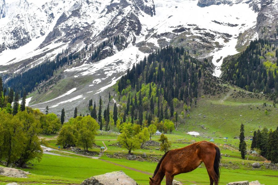 Best Of Kashmir Tour Package